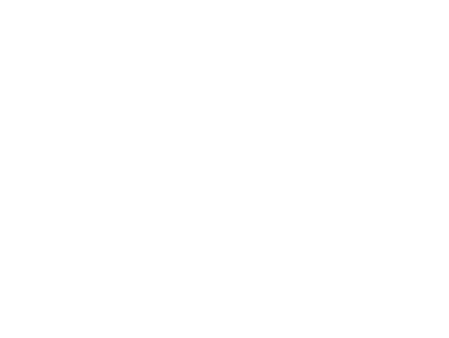Alpago Logo