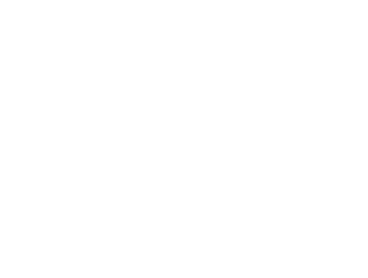 Alpago Logo
